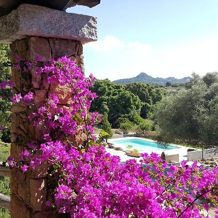 Agriturismo Desole 몬티 외부 사진