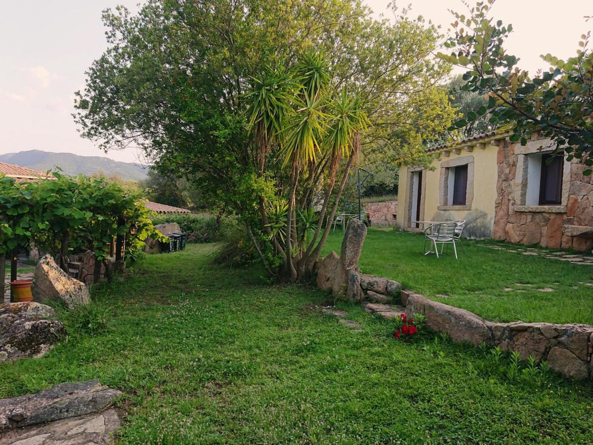 Agriturismo Desole 몬티 외부 사진