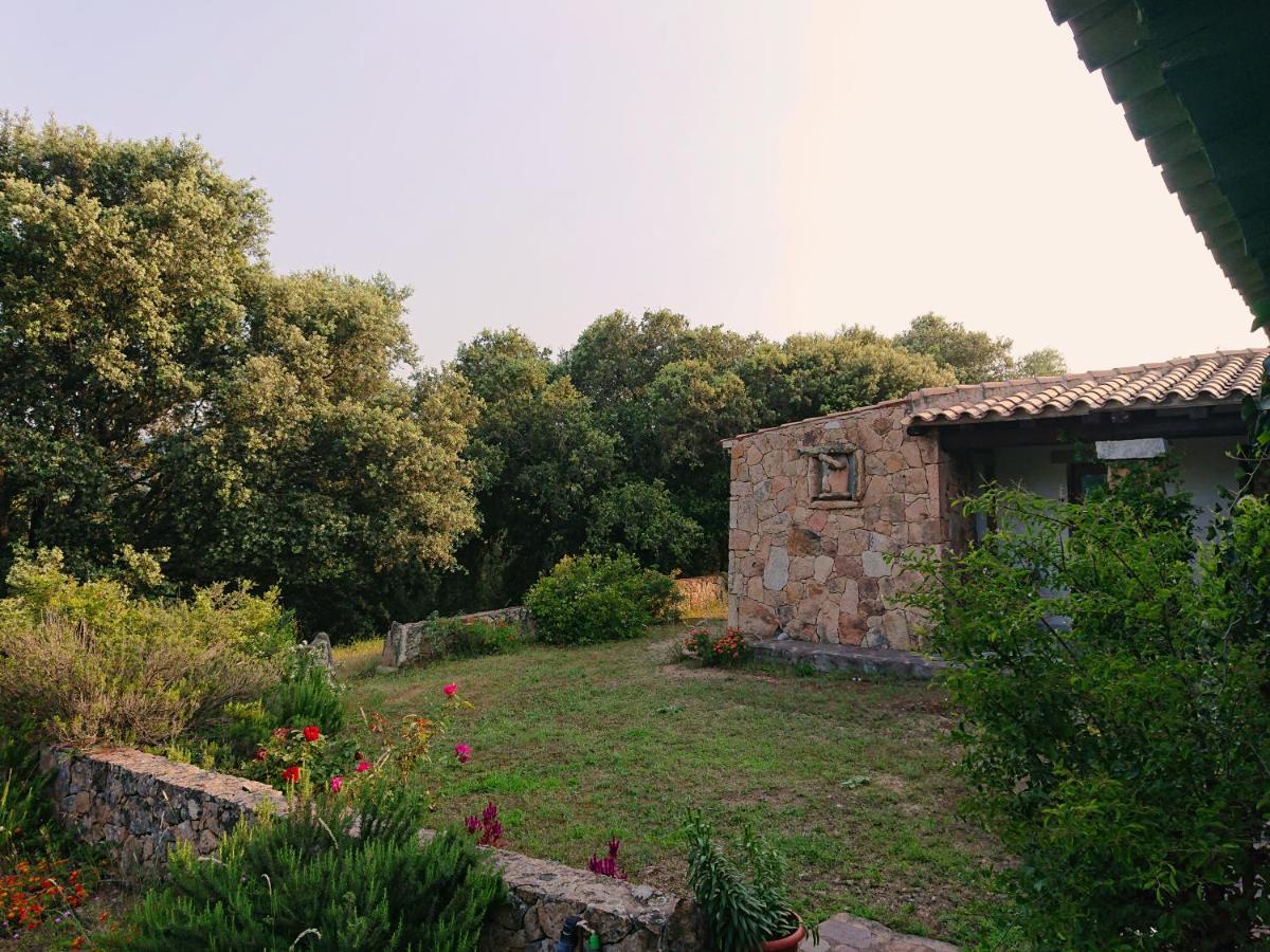 Agriturismo Desole 몬티 외부 사진